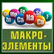 МАКРО-элементы