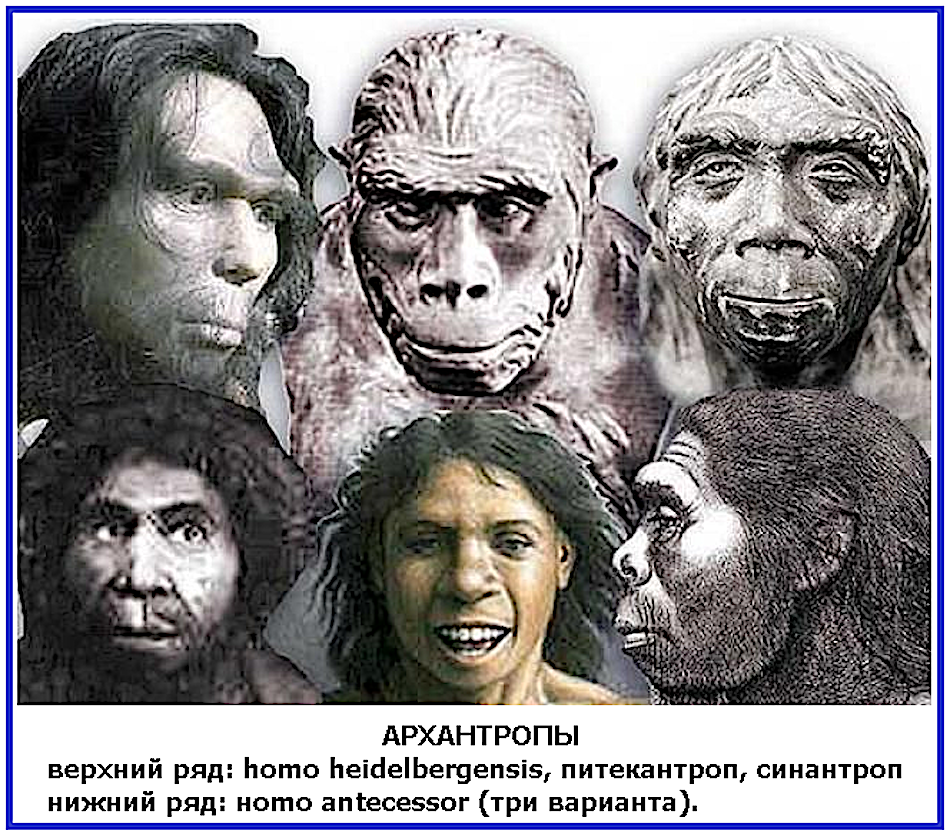 Антропогенез расы людей